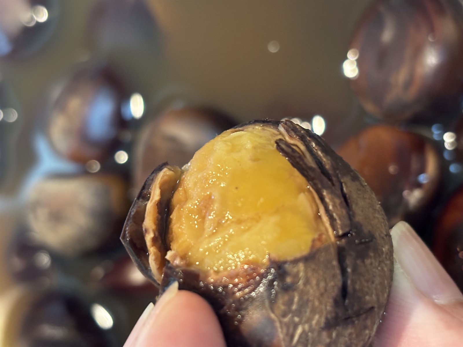 お湯につけた栗の鬼皮を指でむいている様子
