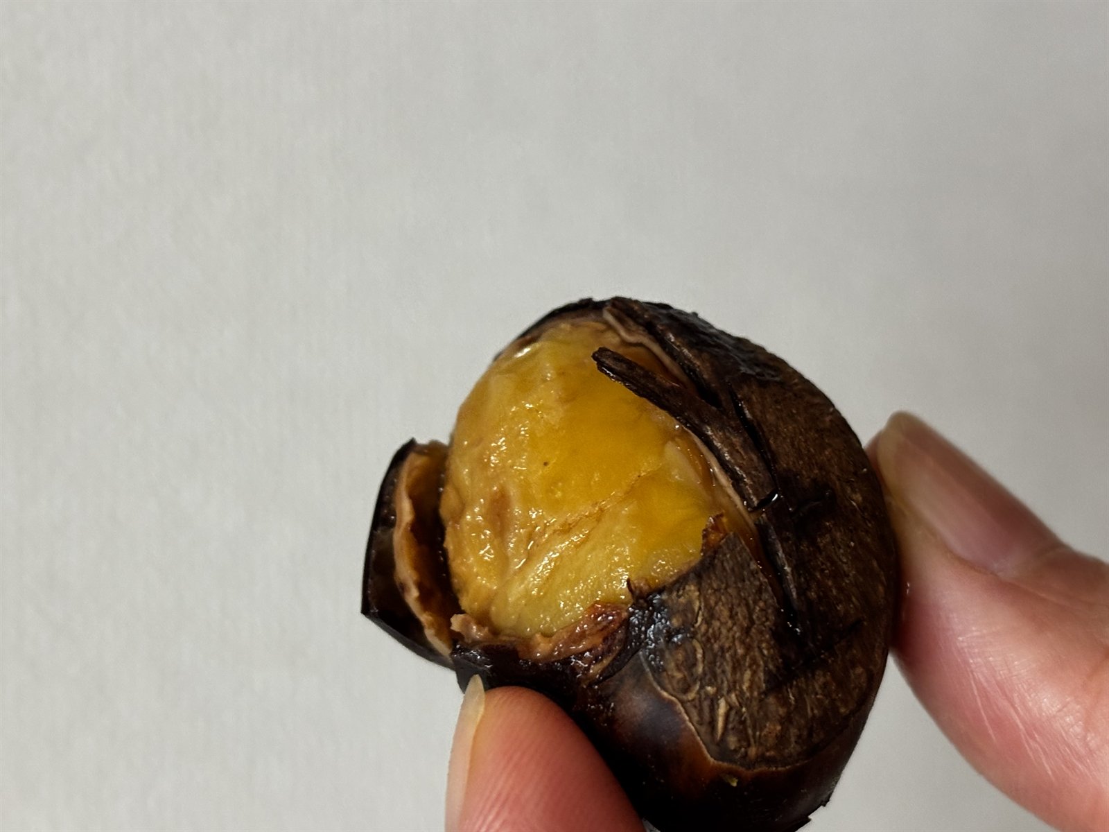 加圧後の栗の鬼皮と渋皮がまとまってむける様子